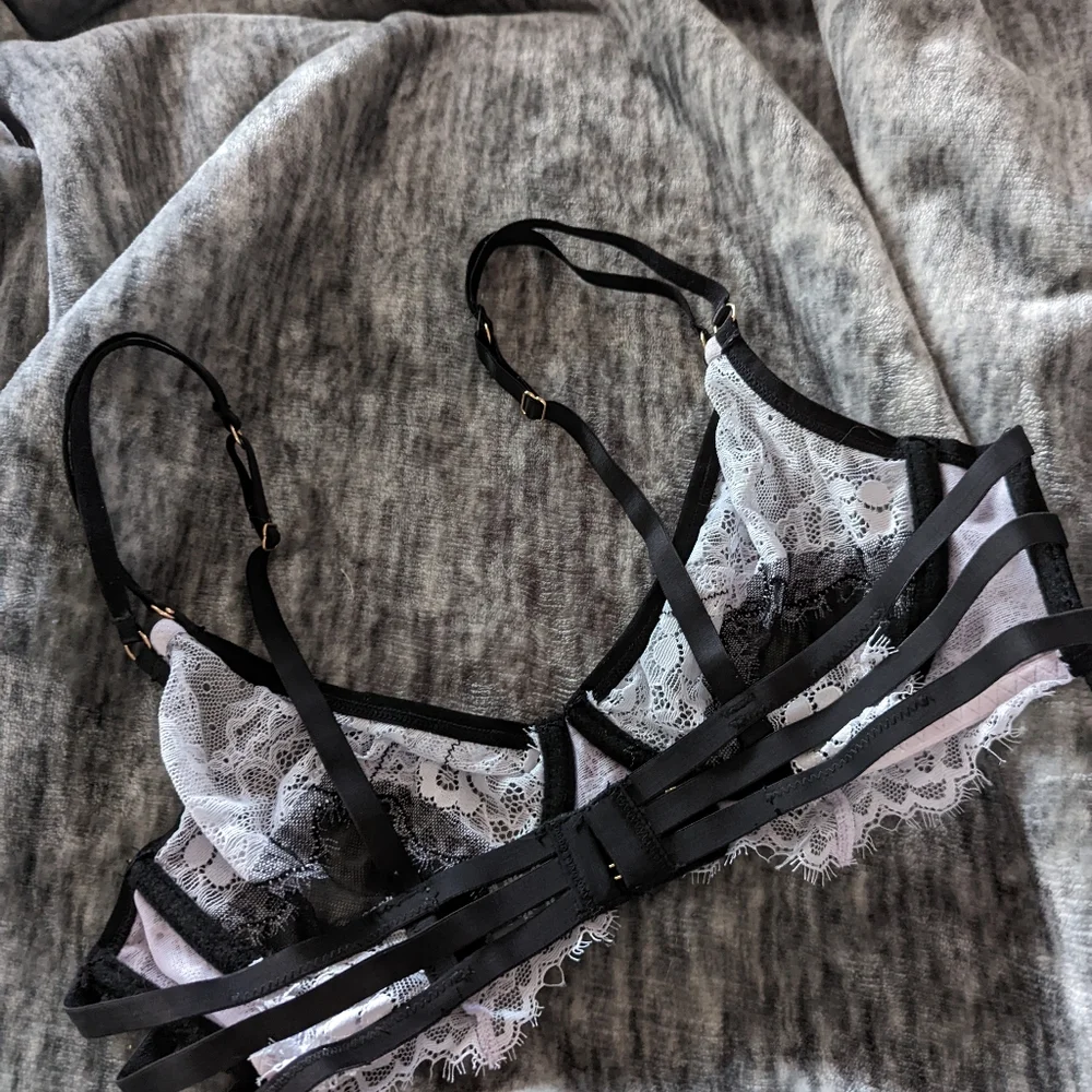 Bluebella bra - Picture 2 of 4